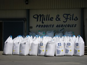 Mille & Fils - Activit&eacute; 5